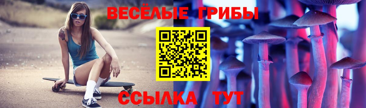 Гуково  Галлюциногенные грибы Magic Shrooms  Вход с VPN 